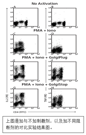 流式實驗全套Buffer 流式實驗全套Buffer